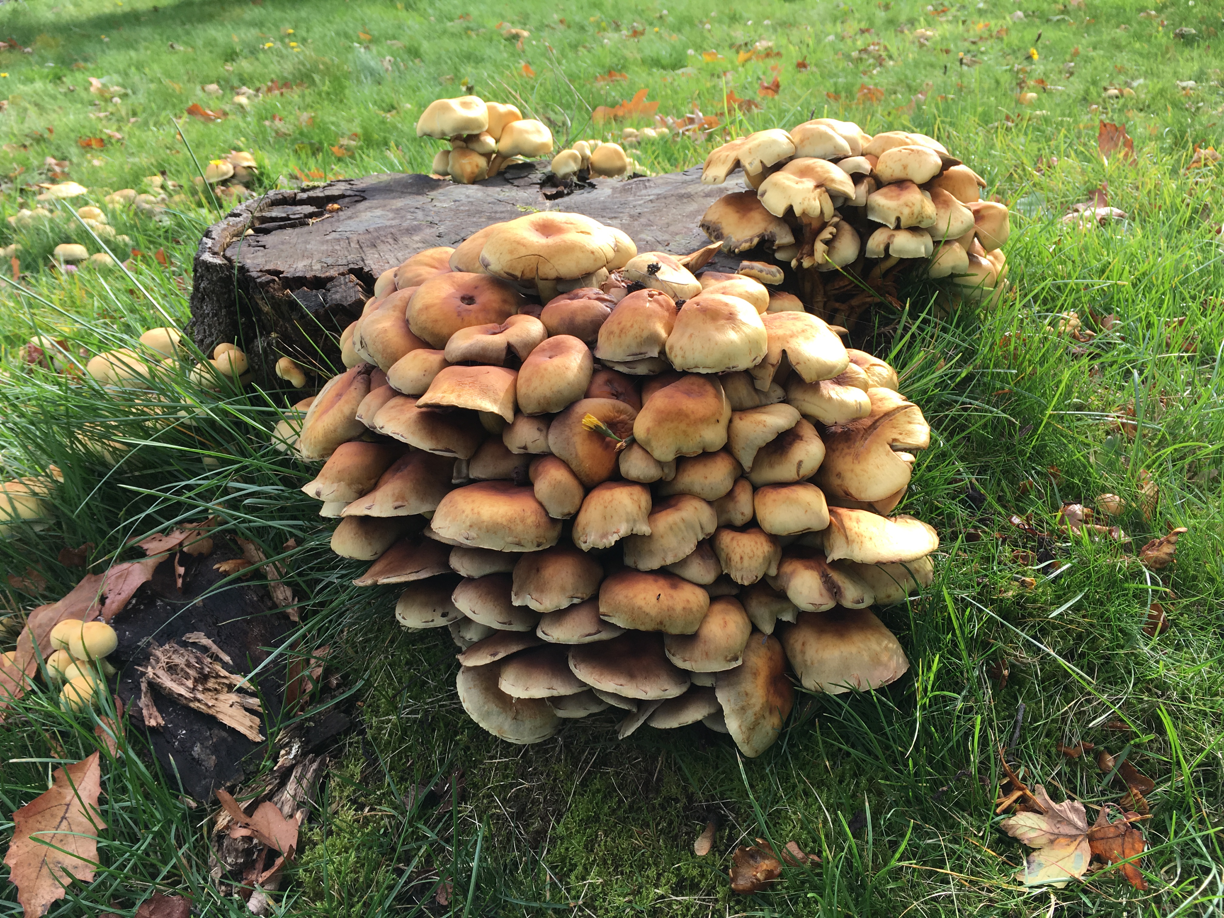 7CFDCEF2-7EF3-497E-84AA-AFF74CD8F23F