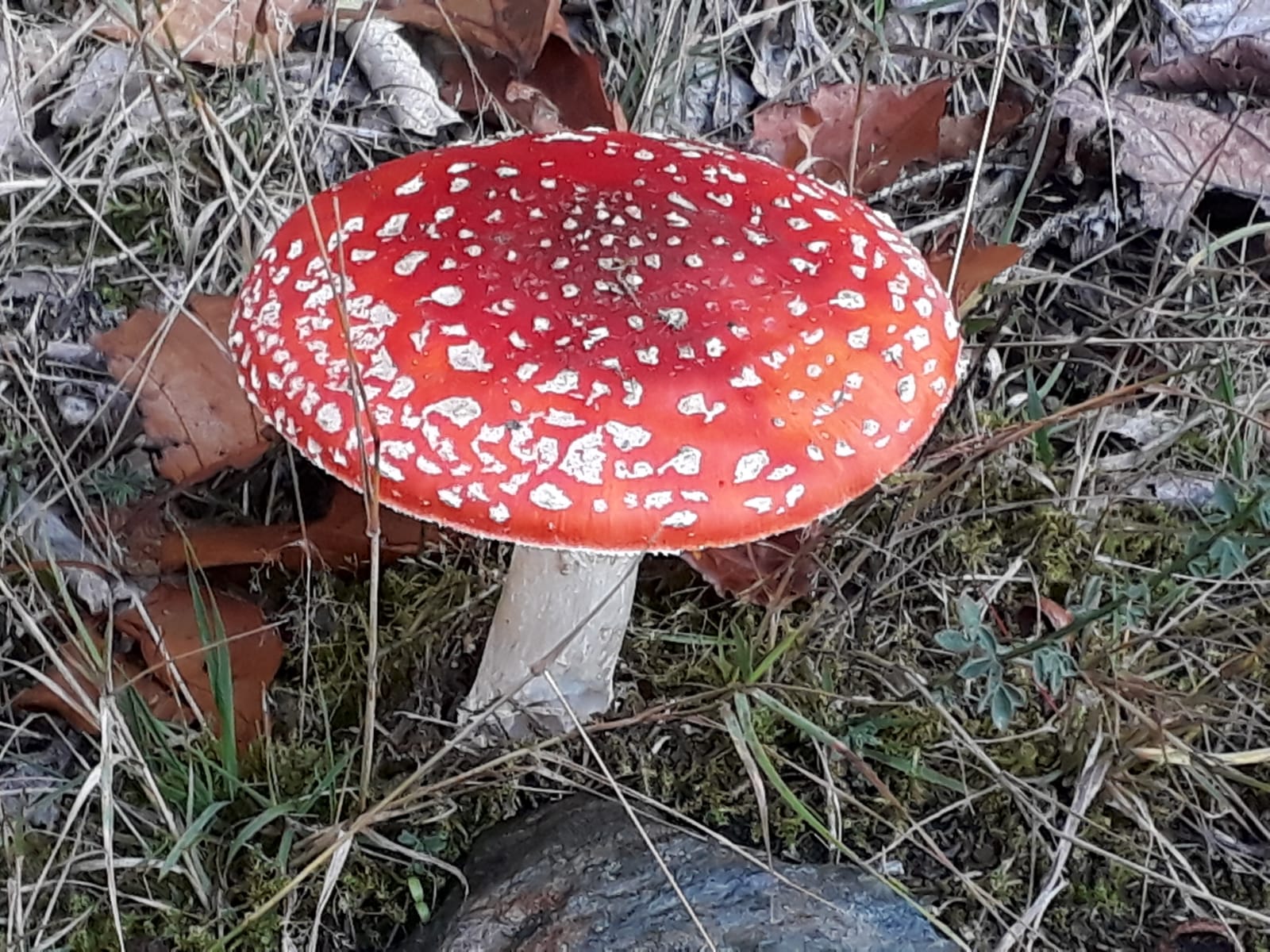 D17FE62E-262F-4A44-9A37-07ECA1B0E040