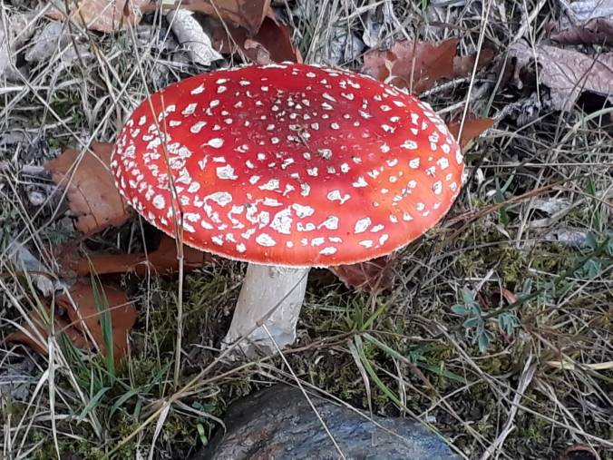 D17FE62E-262F-4A44-9A37-07ECA1B0E040